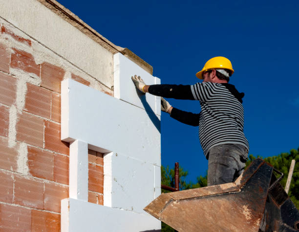 Best Cellulose Insulation in Lockport Heights, LA